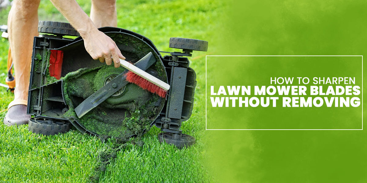 How To Sharpen Lawn Mower Blades Without Removing