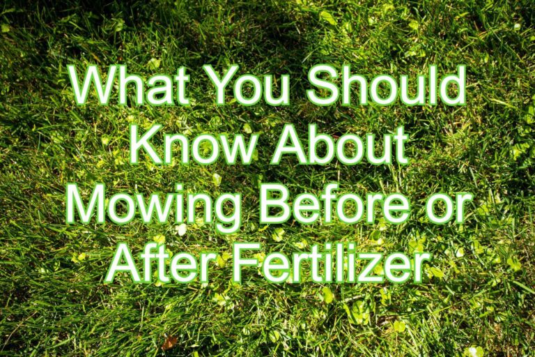 Mow Before or After Fertilizer