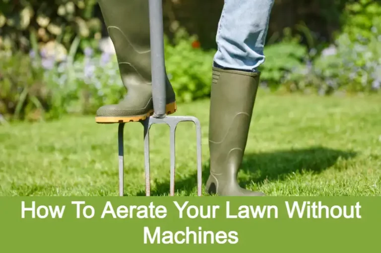 How To Aerate Lawn Without Aerator