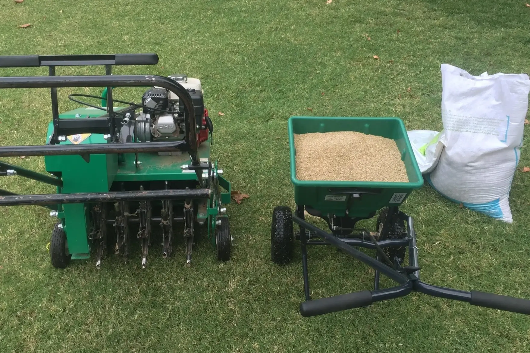 What Is Aeration And Overseeding?
