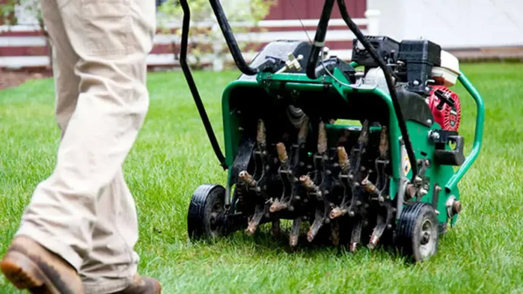 What Is Aeration?